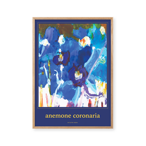 Peléton Anemone Coronaria 50x70 Affisch