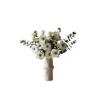 Botané Satin Vit