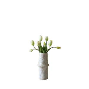 Botané Tulpanbukett Vit