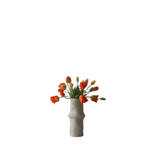 Botané Tulpan Blandad Bukett Orange