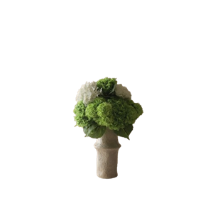 Botané Nyanser av Grön Bukettgrönt