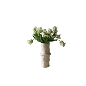 Botané Liten Papegojtulpanbukett Vit
