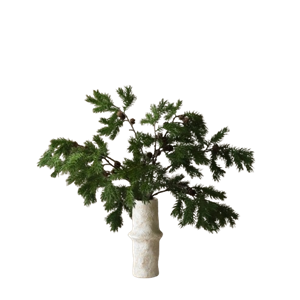 Botané Nordisk tallbukett Grön