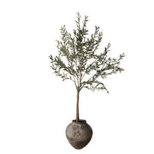 Botané Olivträ Grön