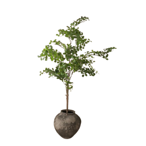 Botané Tropisk Mandelträ Grön