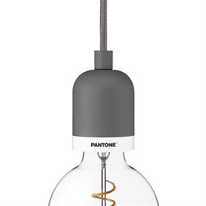 Pantone Deneb Pendel Grå
